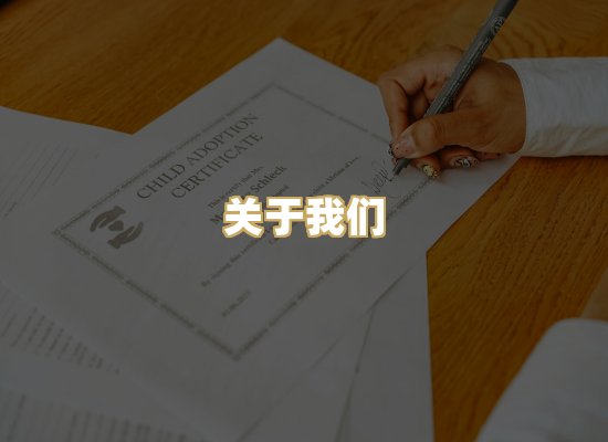 关于我们